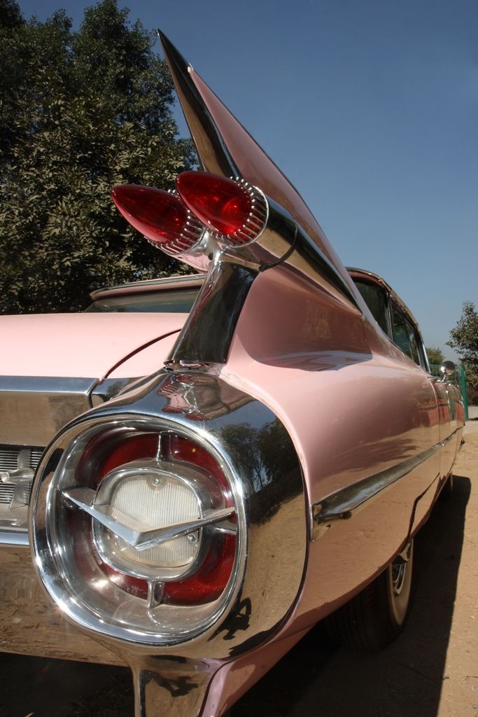 Pink Cadillac_Diljeet Titus_05