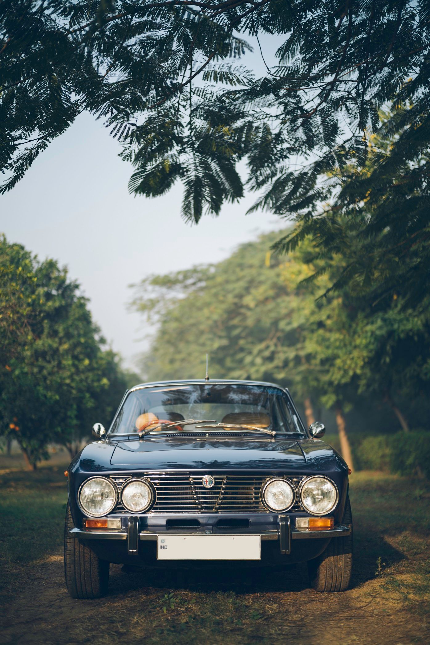 The Romance Of An Alfa Romeo