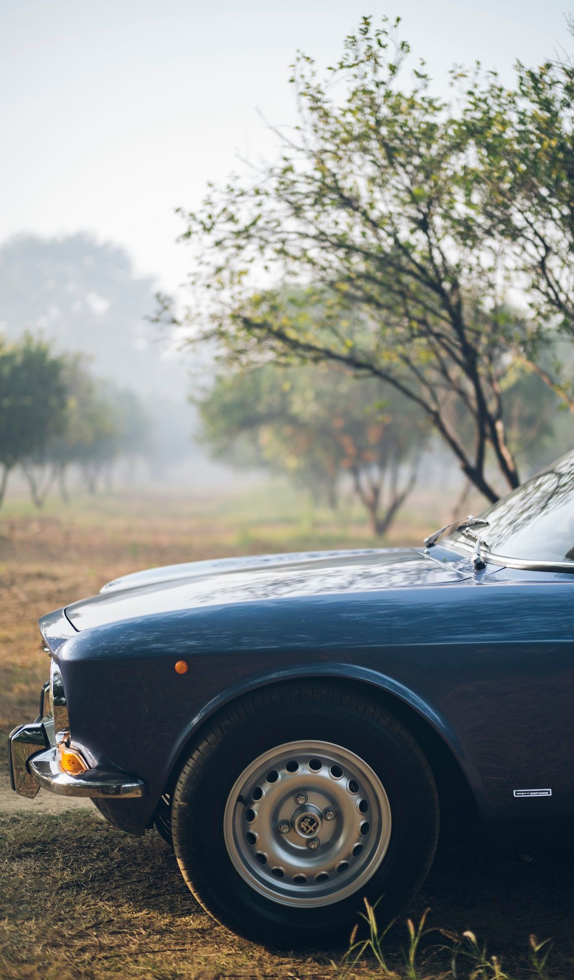 The Romance Of An Alfa Romeo