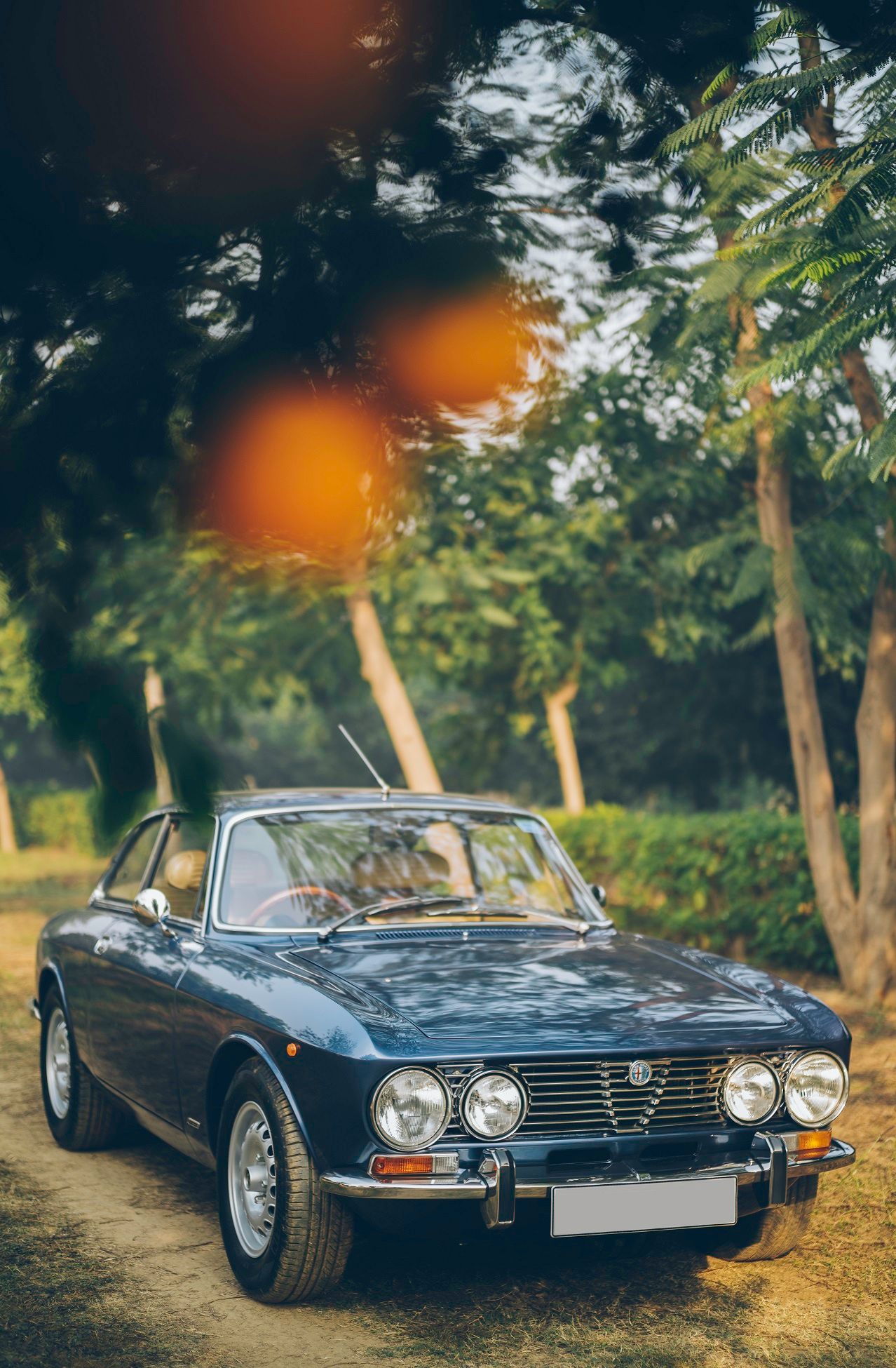 The Romance Of An Alfa Romeo