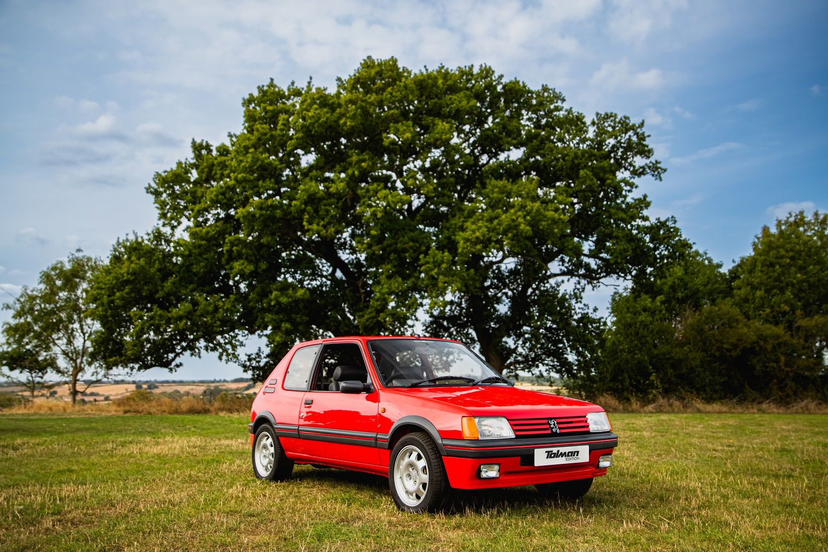 Decorazione Da Parete In Metallo – Peugeot 205 GTI – 25 Cm – Nero Opaco – Prodotto In Francia